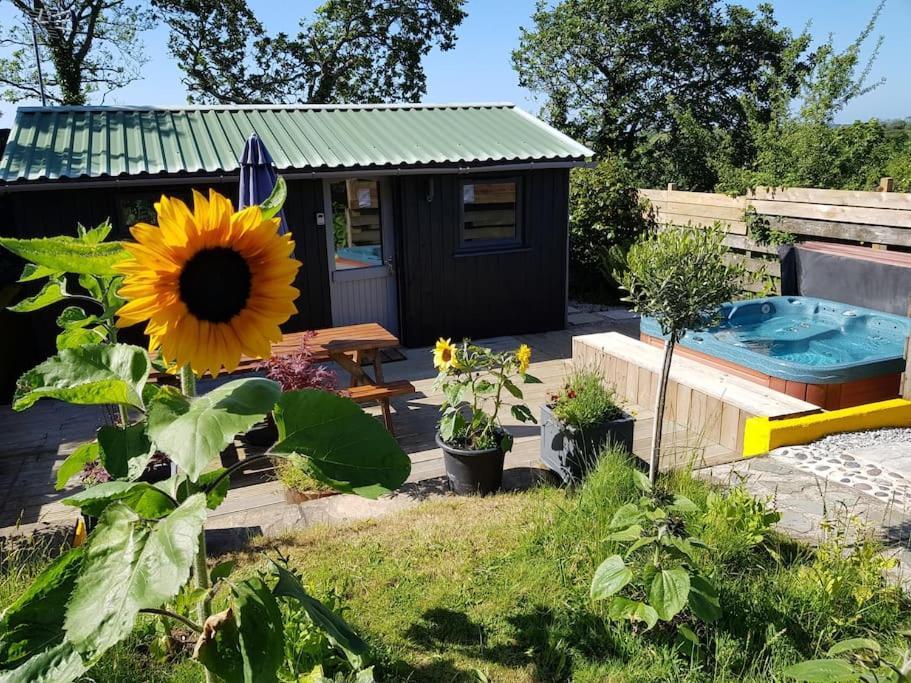 Апартаменты The Old Potting Shed With Hot Tub. Colan, Newquay. Ньюки Экстерьер фото